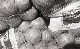Illustration for article titled First Roll of Film Developed at Home